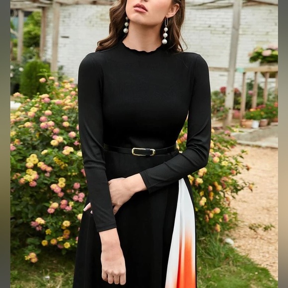 Colorblock Belted Dress - Picture 5 of 10